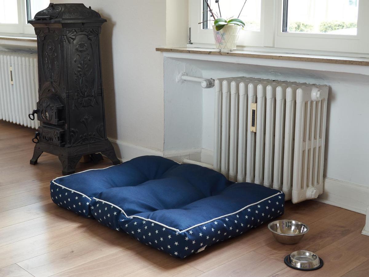 Haus Bley Appartamento Wittlich Esterno foto